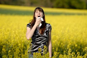 Heuschnupfengeplagte müssen in diesem Jahr besonders viele Pollen ertragen