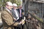 Zoo Wasserstern in Ingolstadt erhält neues Affengehege
