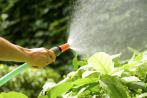 Gartenbesitzer müssen noch viel über richtiges Bewässern lernen